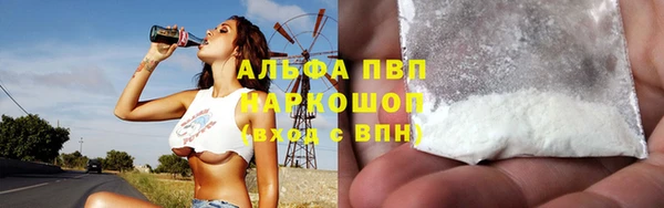 стафф Алексин