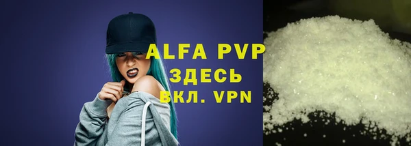 стафф Алексин