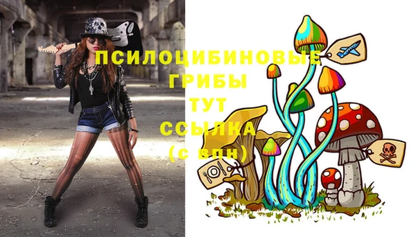 первитин Алексеевка