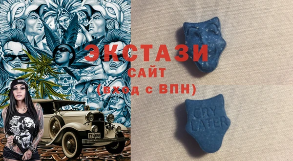стафф Алексин